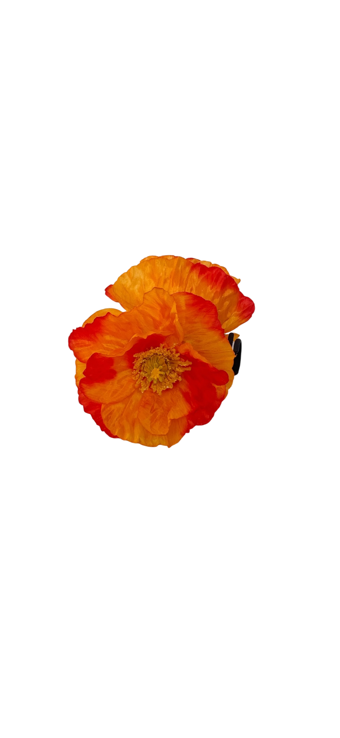 'Orange Poppy' claw clip