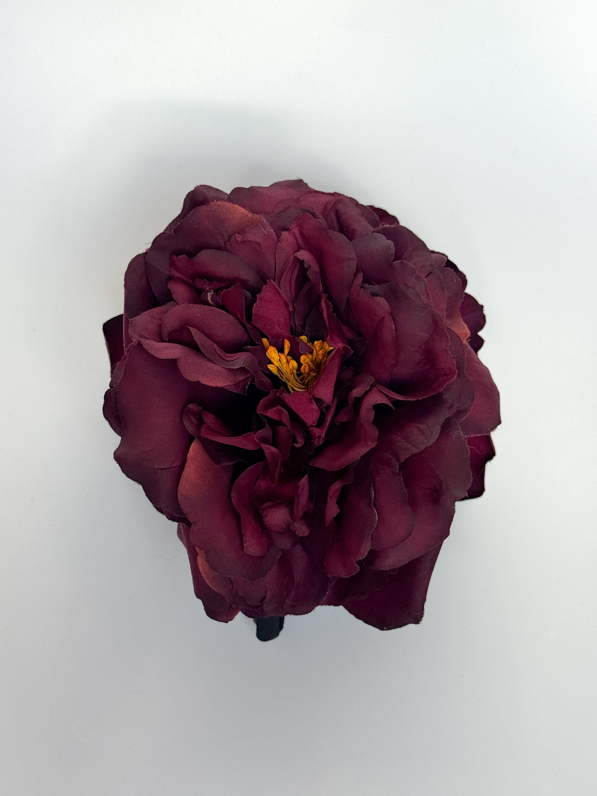 ' Burgundy Rose ' claw clip