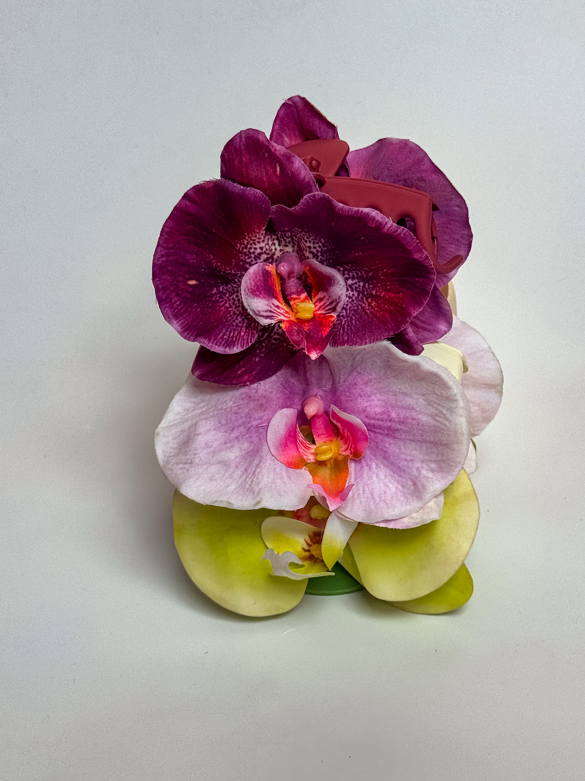 ' Purple Phalaenopsis ' claw clip