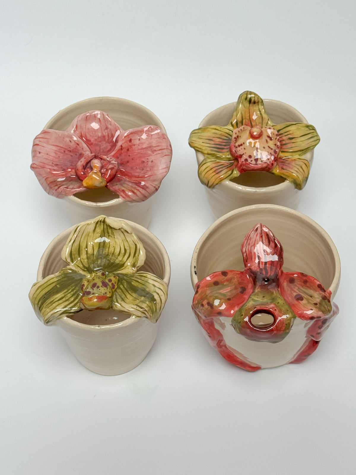 Cymbidium orchid travel mug