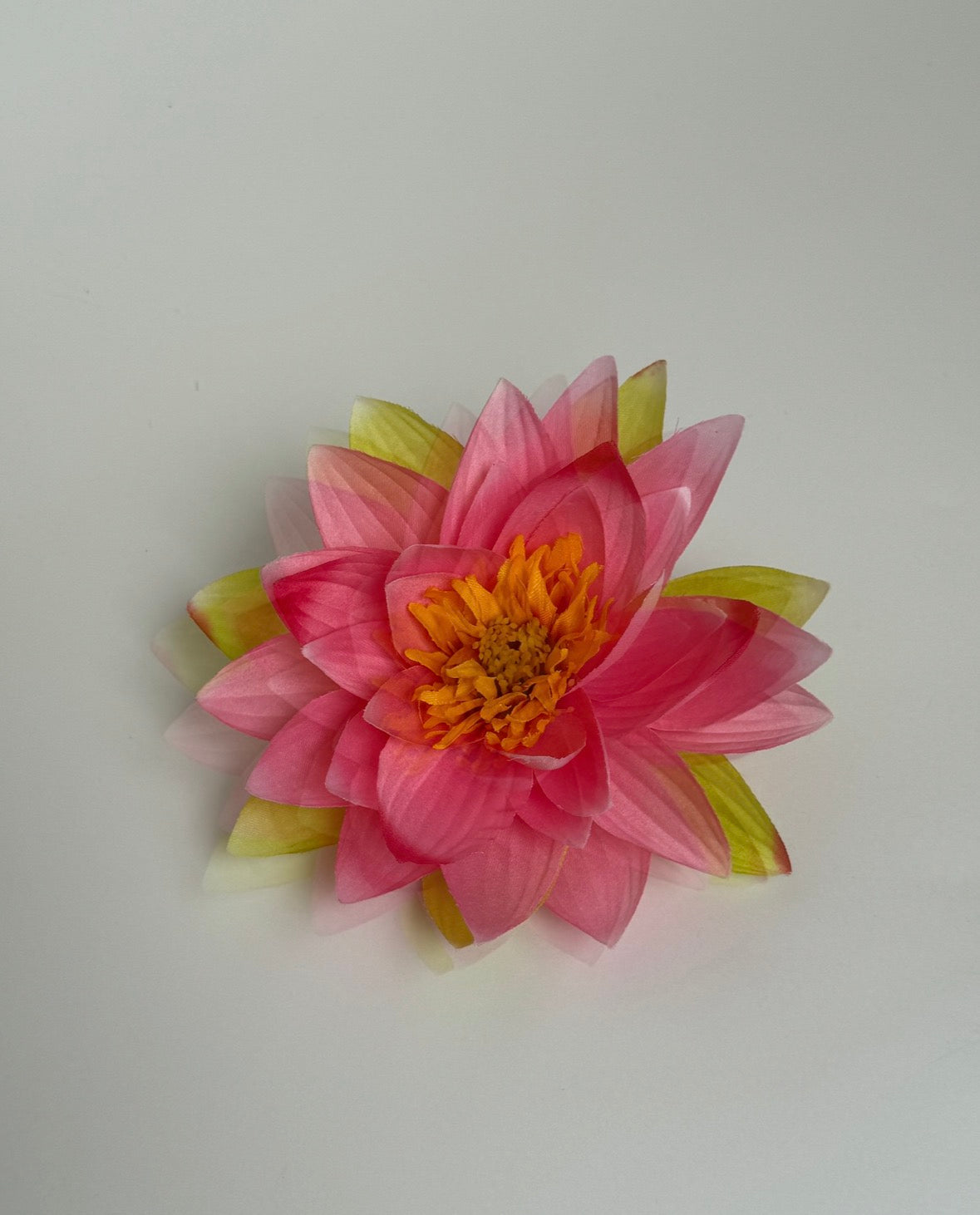 lotus clip