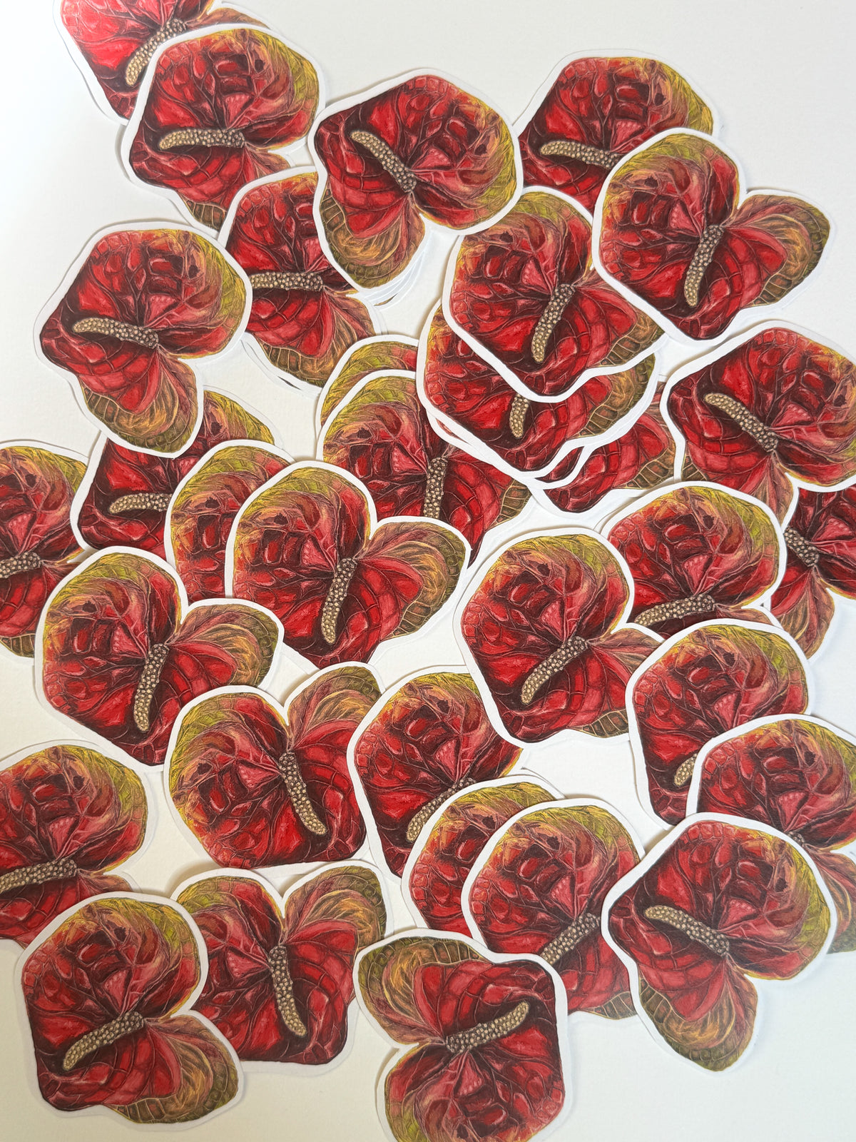 Anthurium sticker