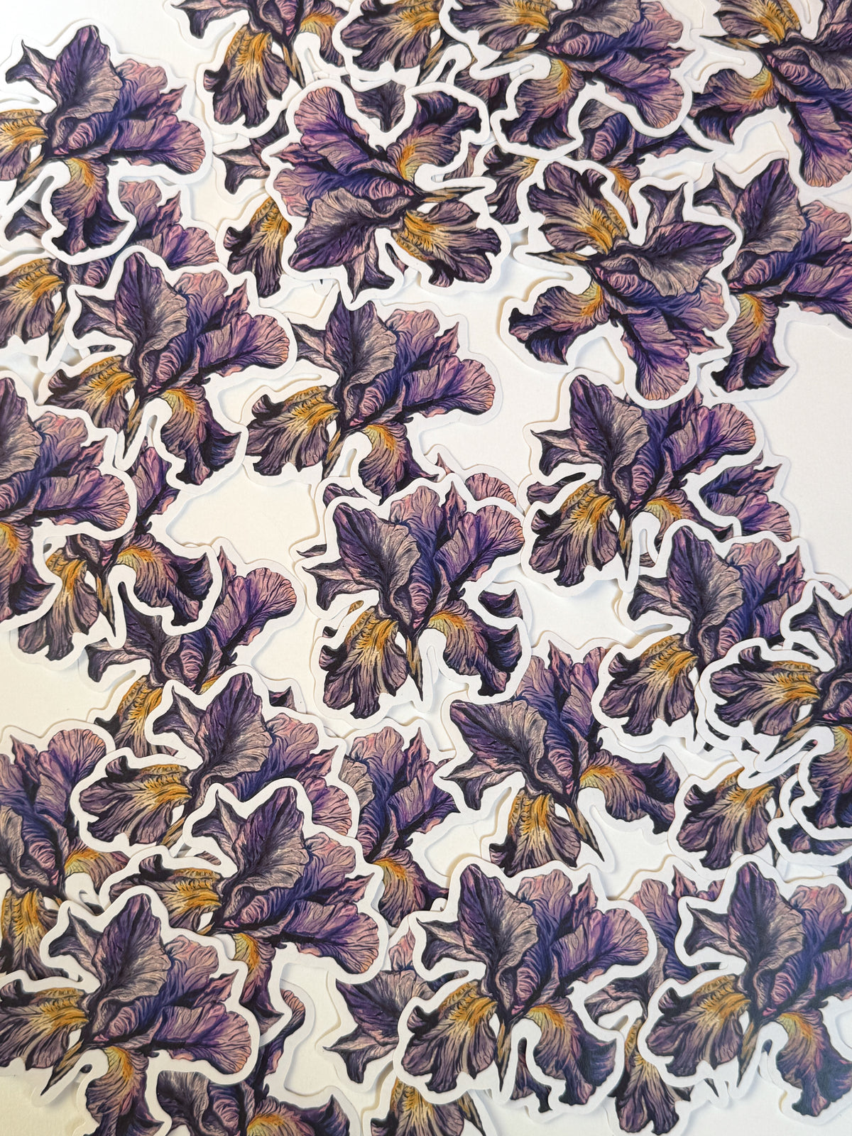 Iris sticker