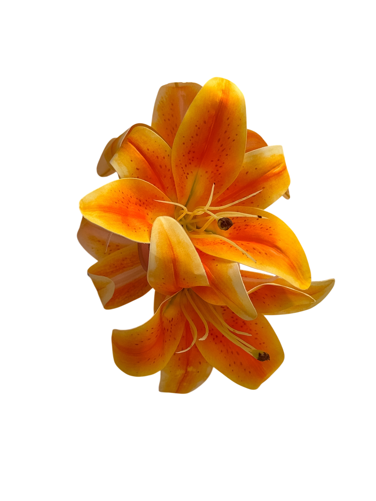 Lily