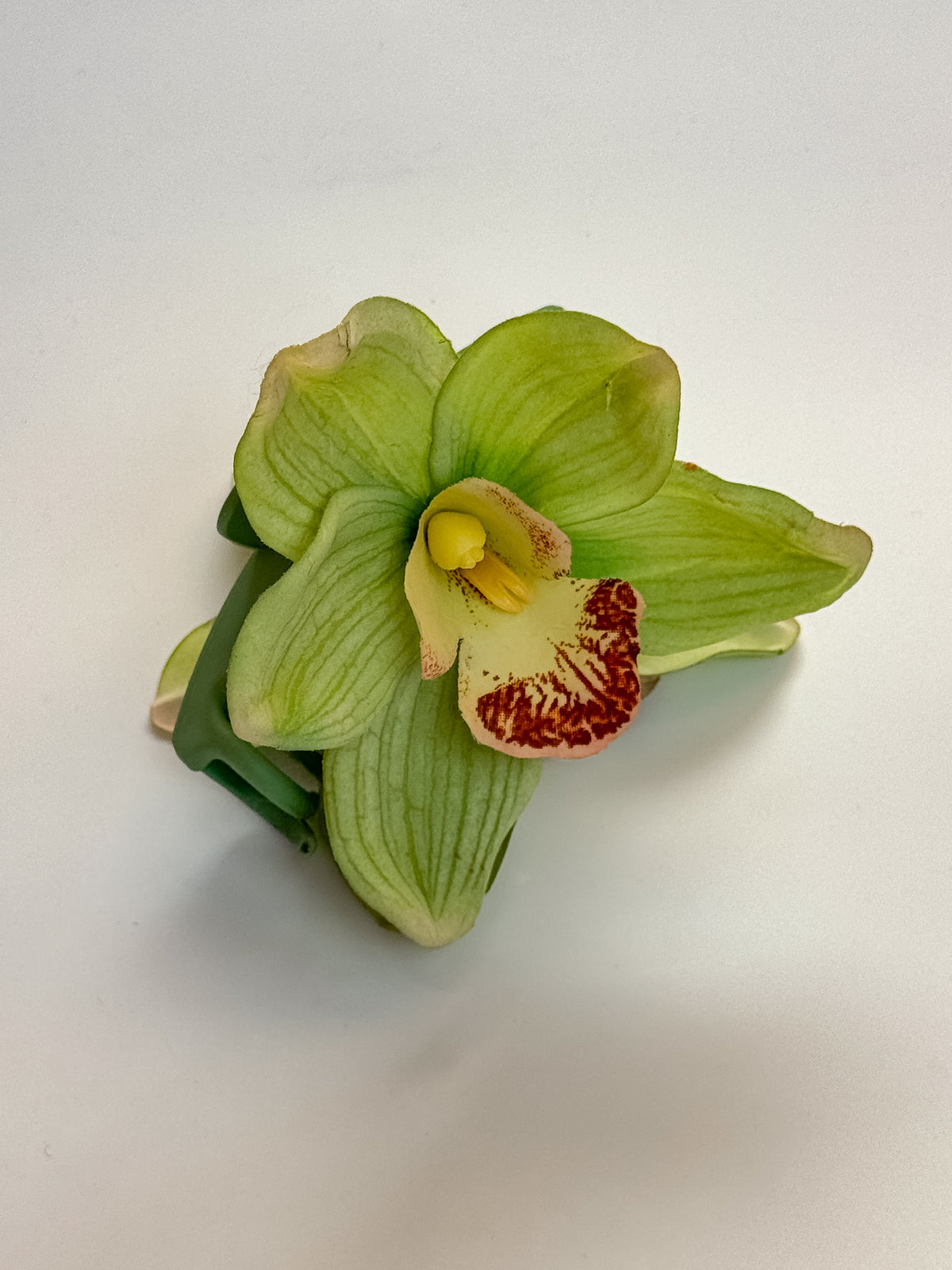 ' Green Cymbidium ' claw clip