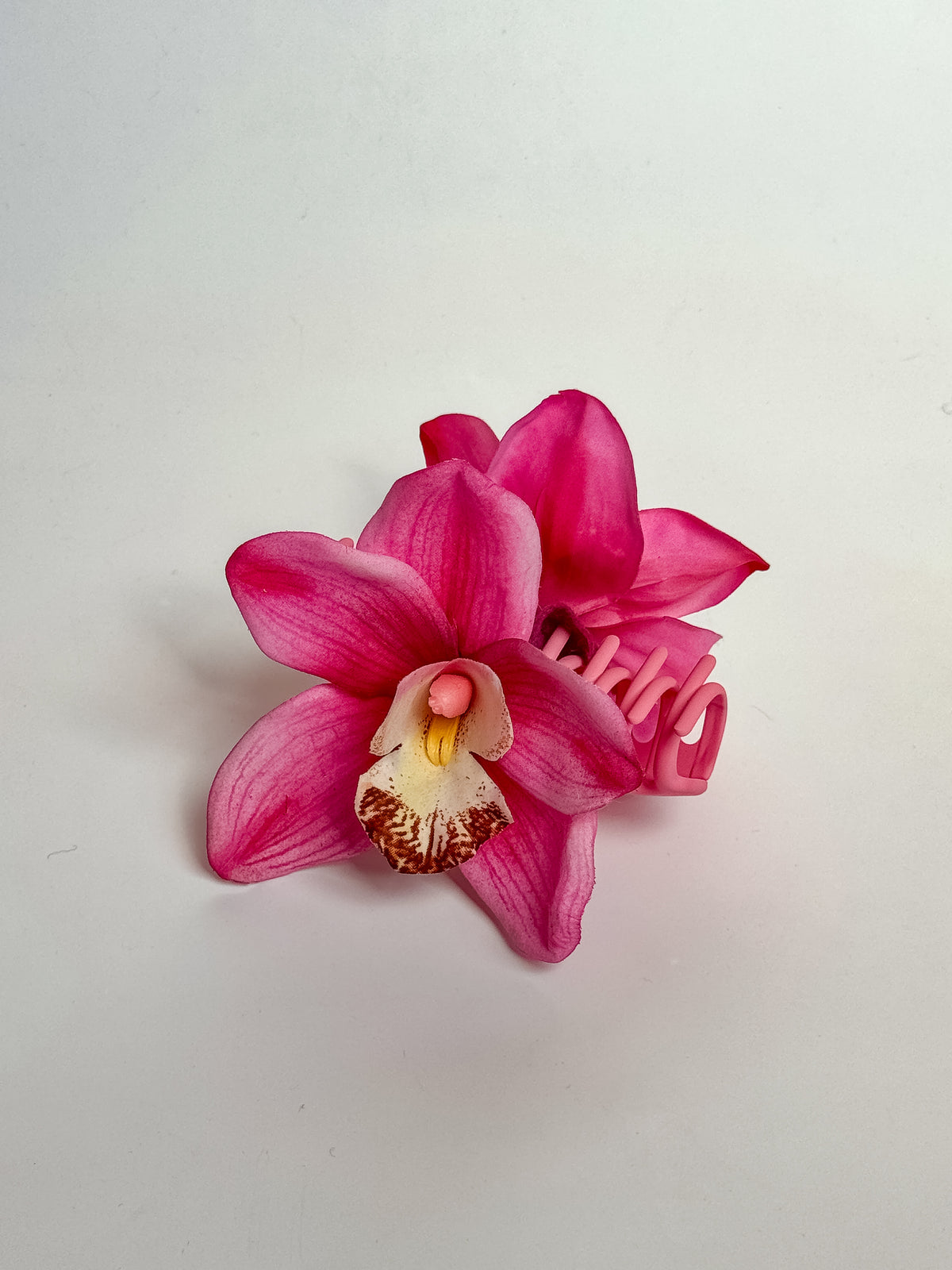 ' Pink Cymbidium ' claw clip