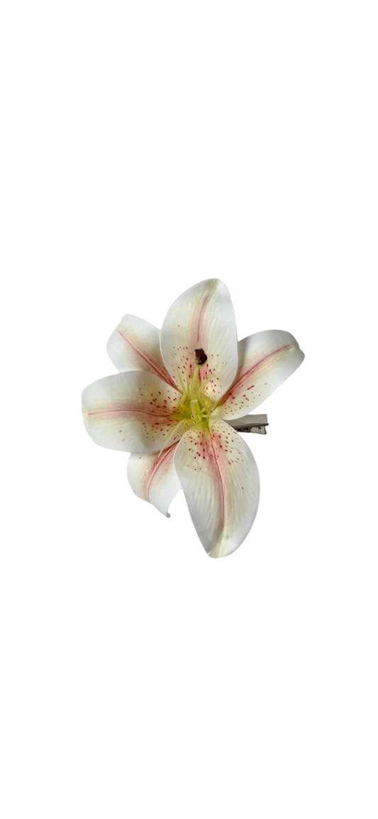 Madonna lily clip