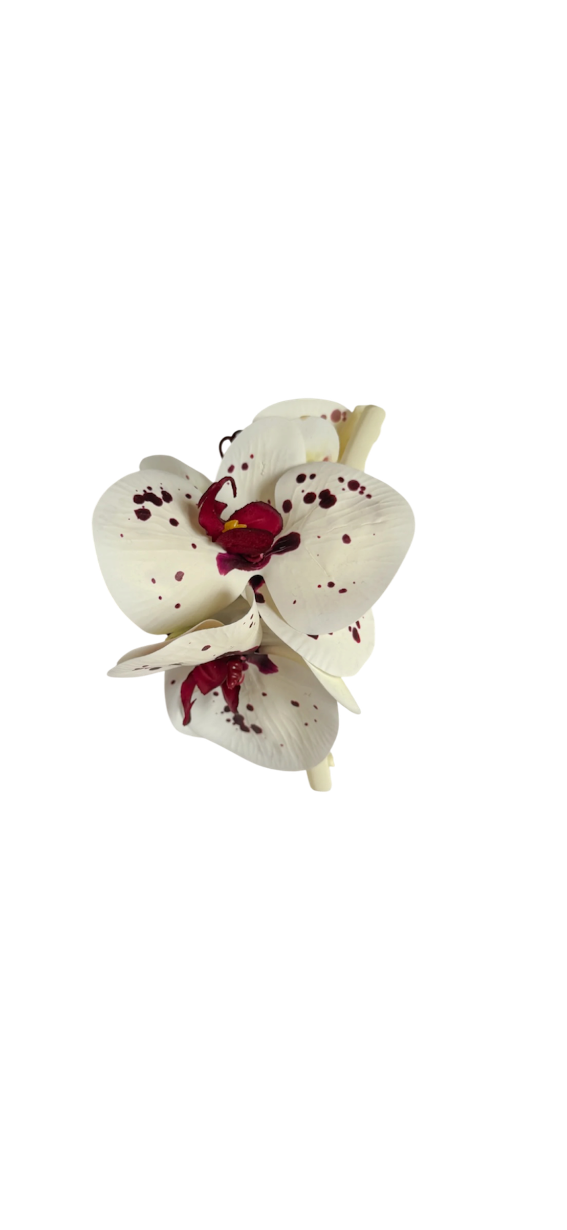XL Spotty Orchid claw clip