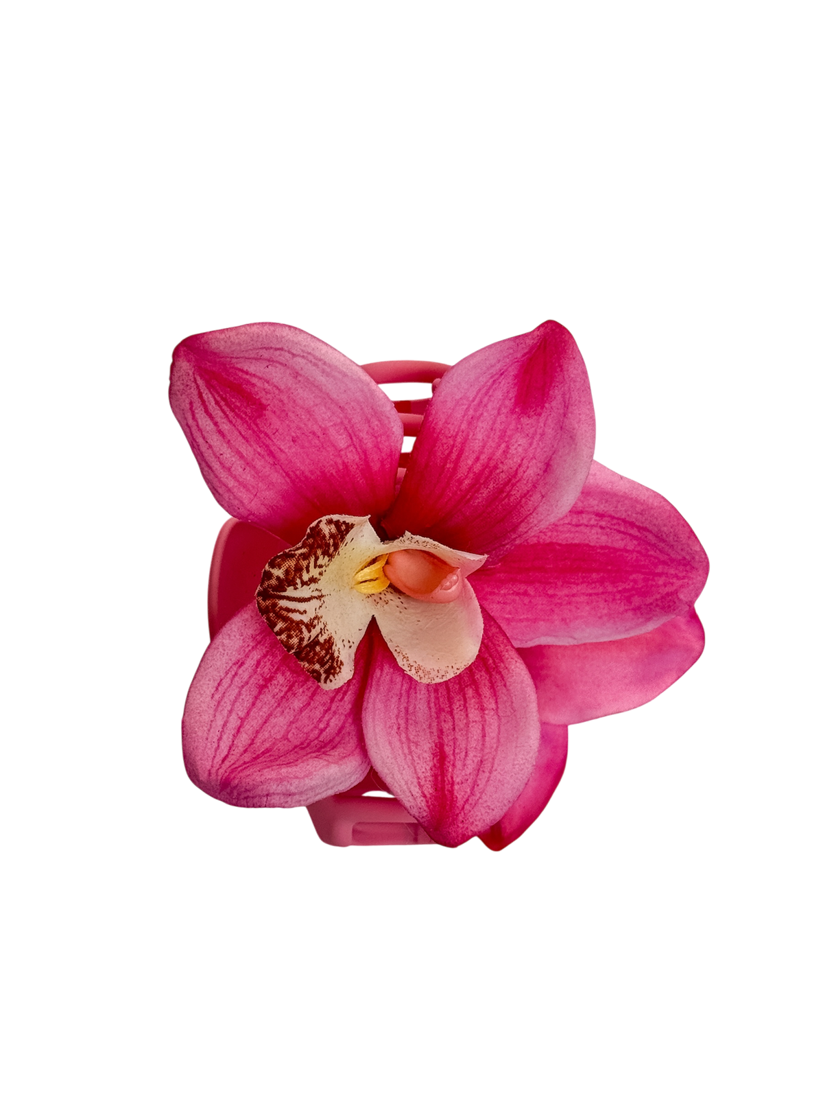 ' Pink Cymbidium ' claw clip
