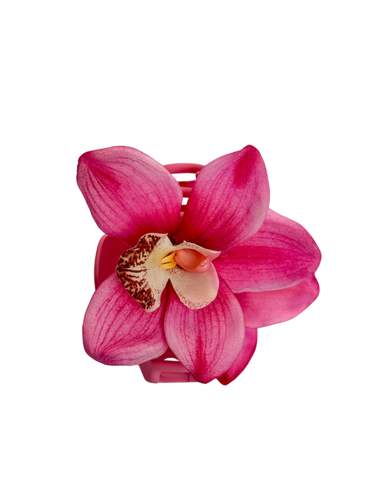 ' Pink Cymbidium ' claw clip