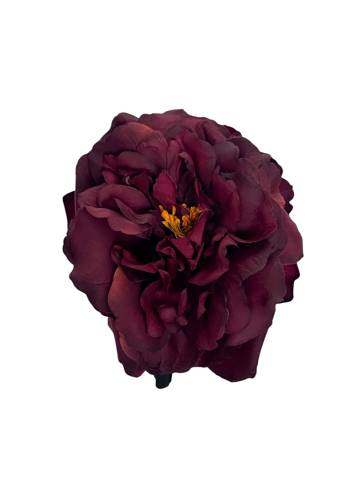 ' Burgundy Rose ' claw clip