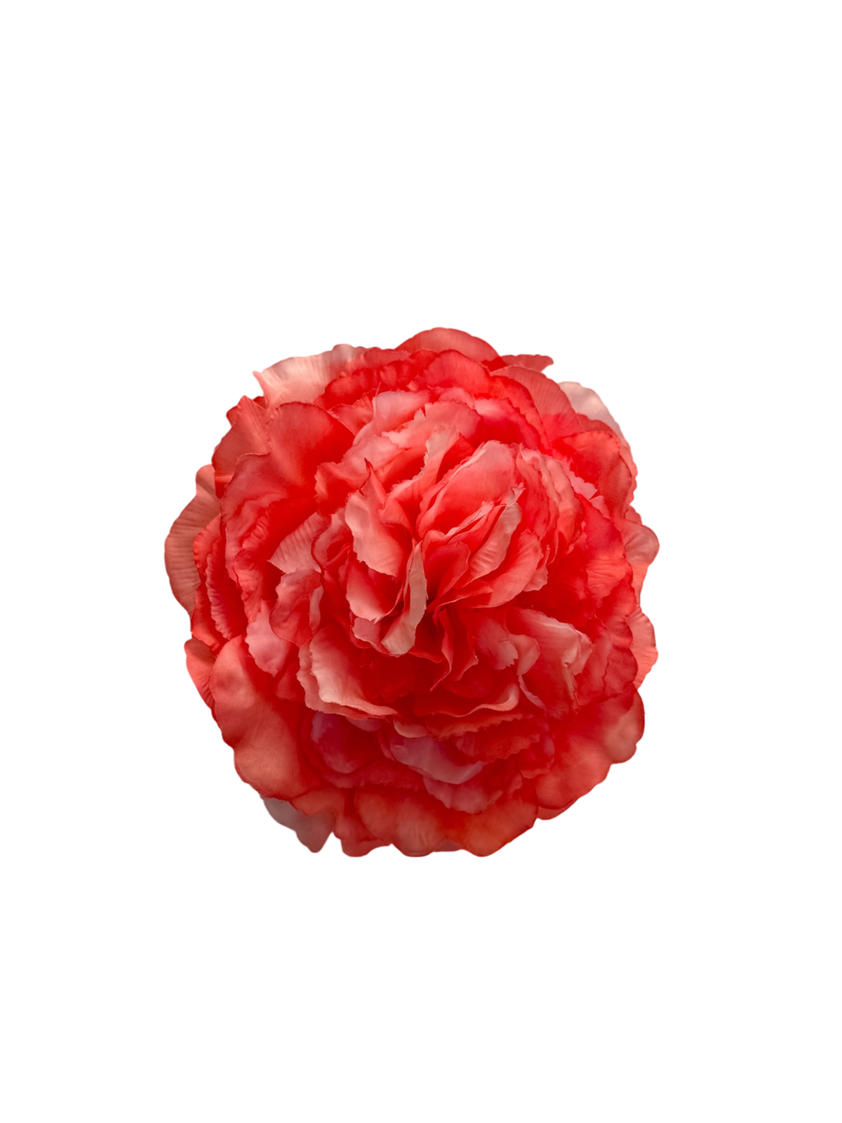 ' Coral Rose ' claw clip