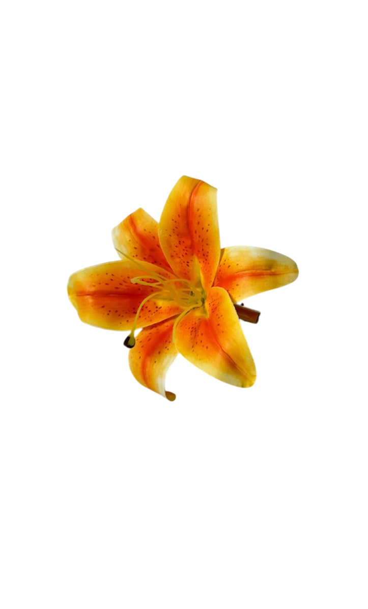 Tiger lily clip