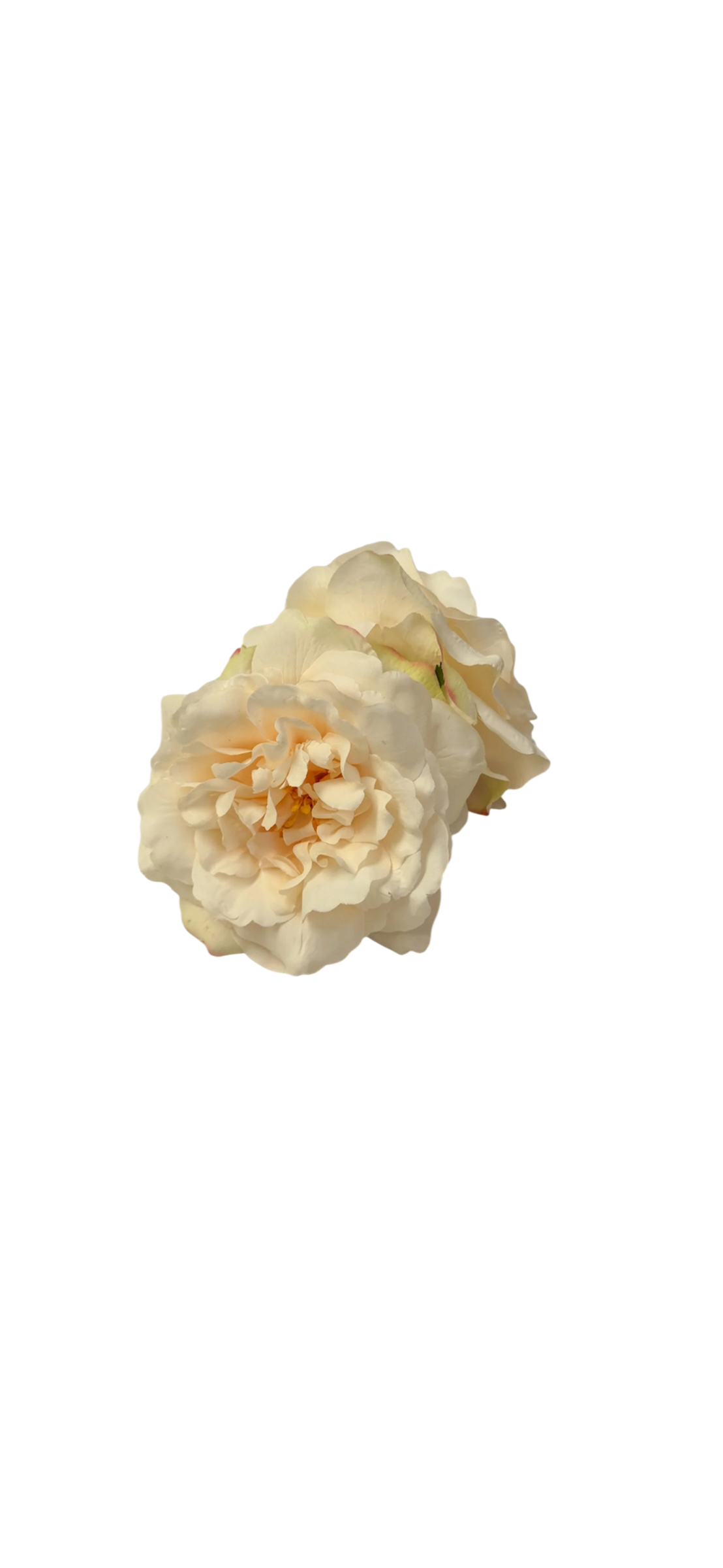Ivory rose claw clip