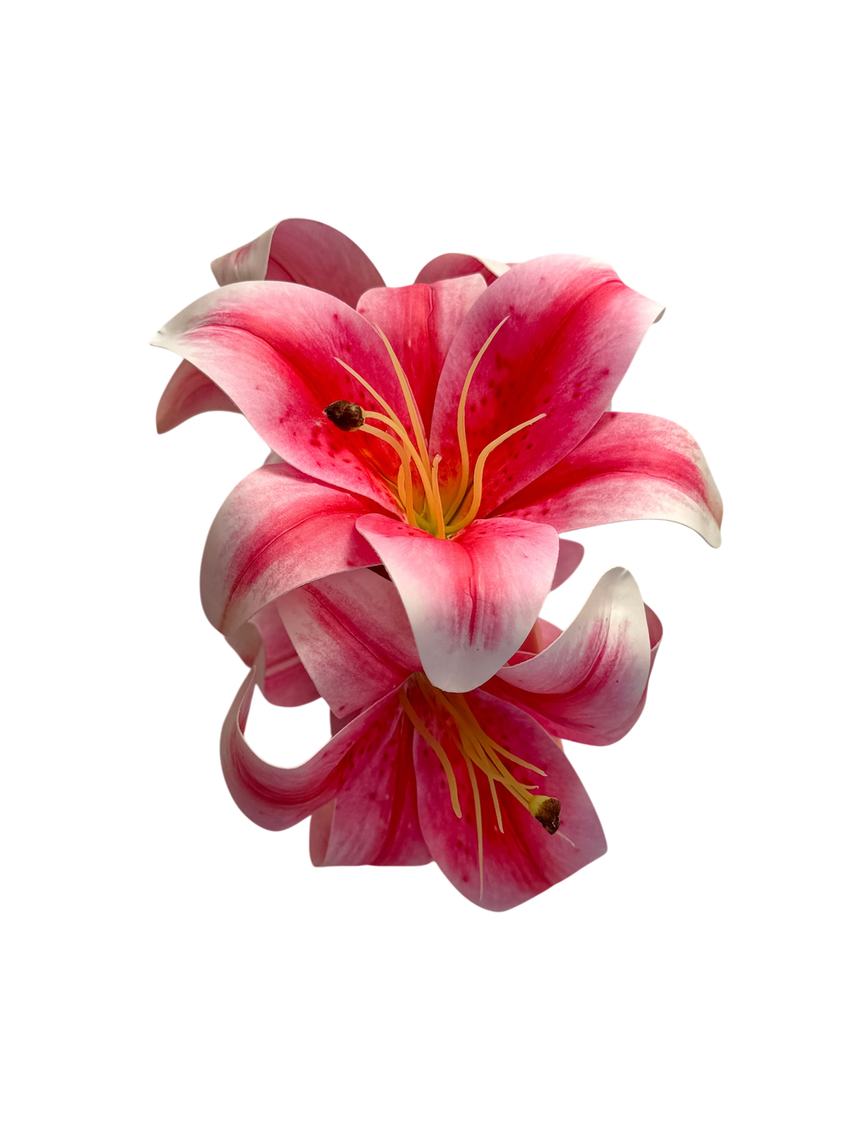 ' Stargazer Lily ' claw clip