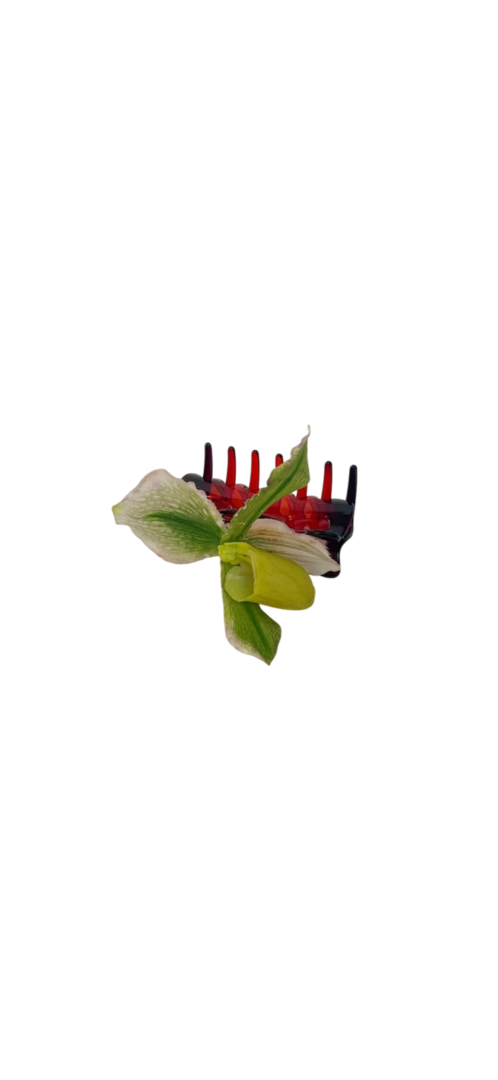 Lime lady slipper claw clip