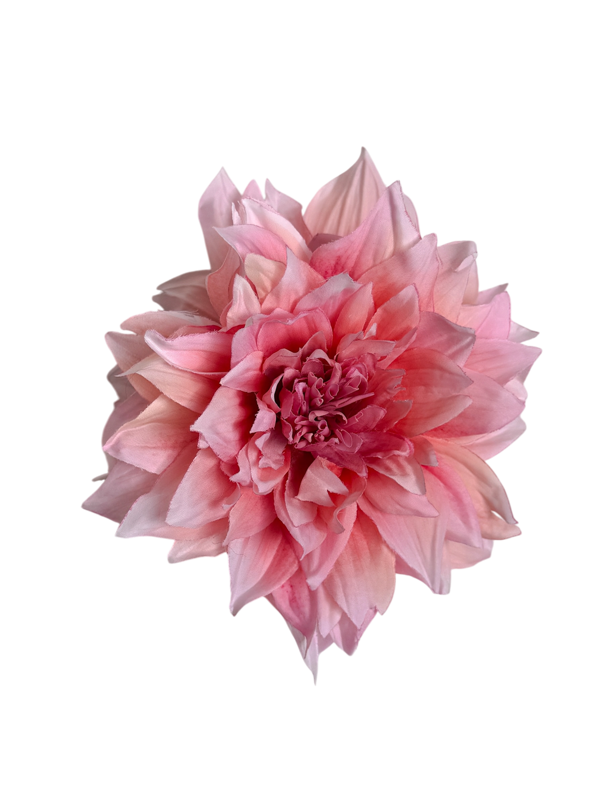 ' Baby Pink Dahlia ' claw clip