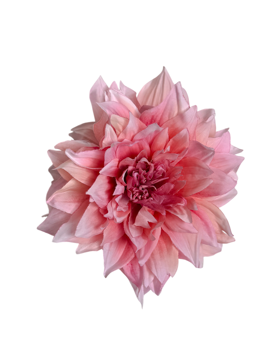 ' Baby Pink Dahlia ' claw clip