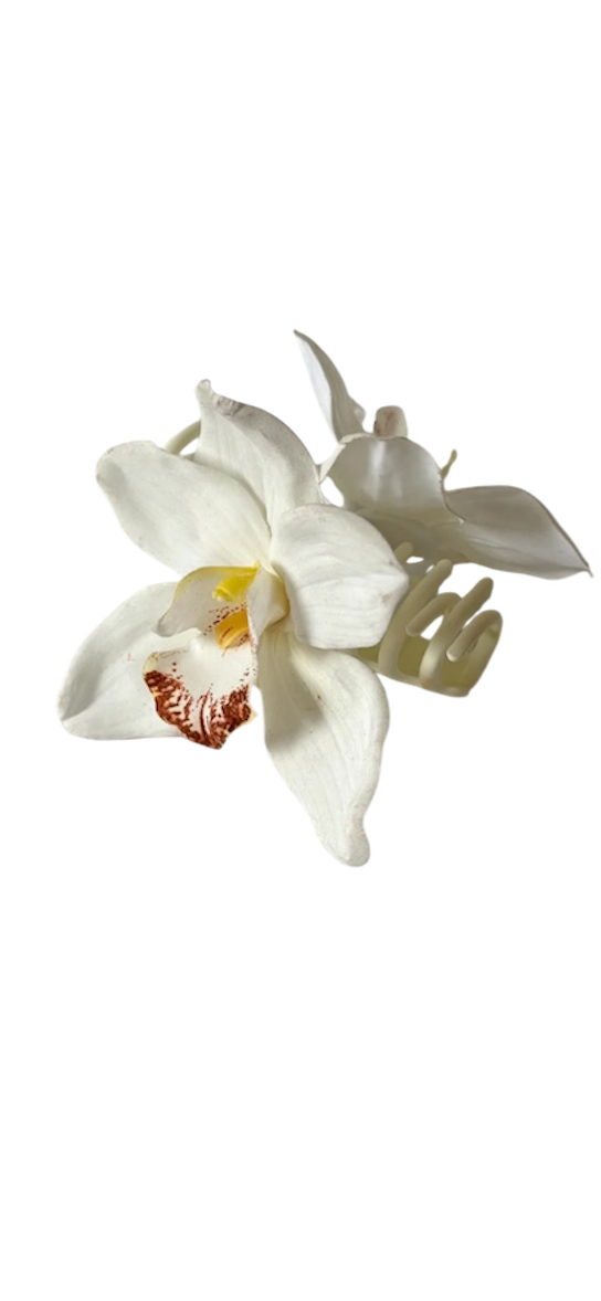 ' White Cymbidium ' claw clip