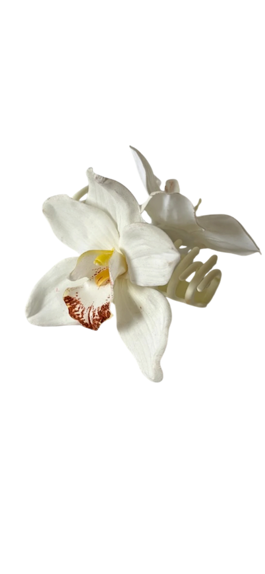 ' White Cymbidium ' claw clip