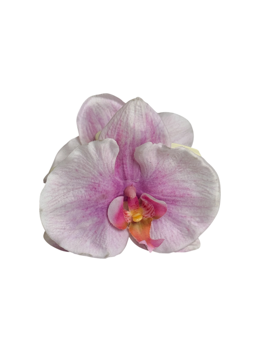 ' Pale Pink Phalaenopsis ' claw clip