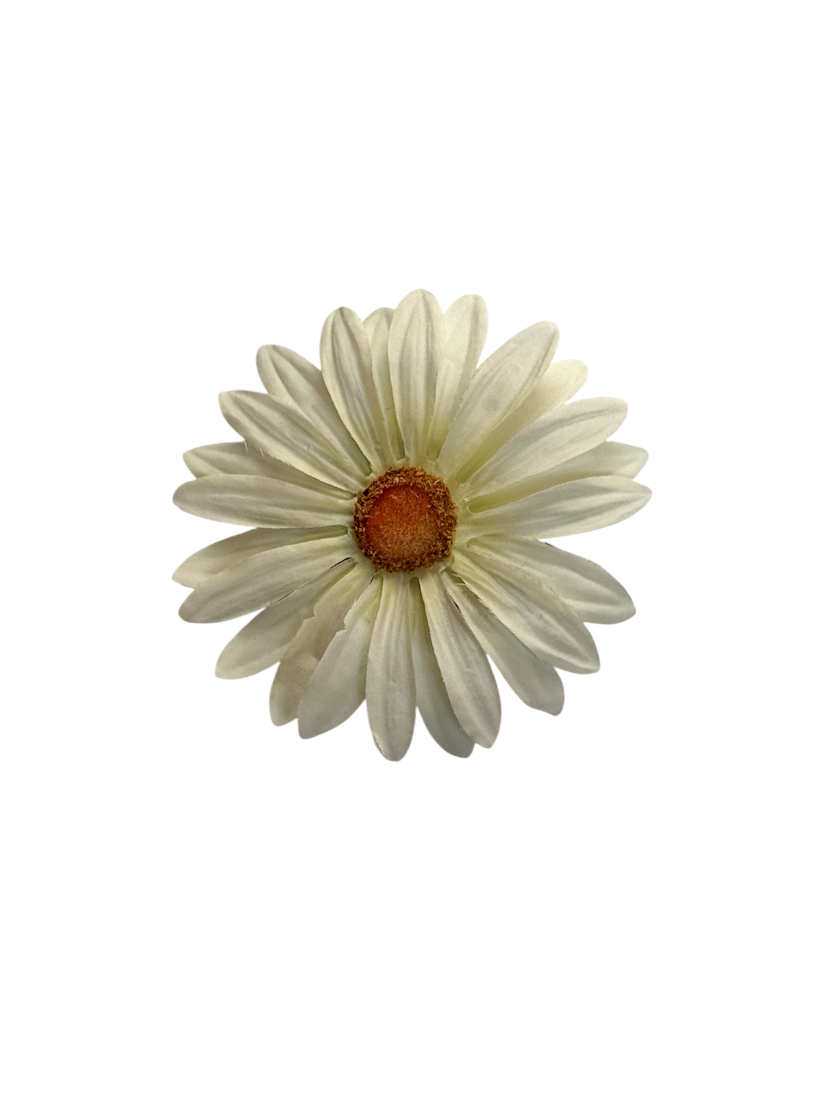 Daisy Clip