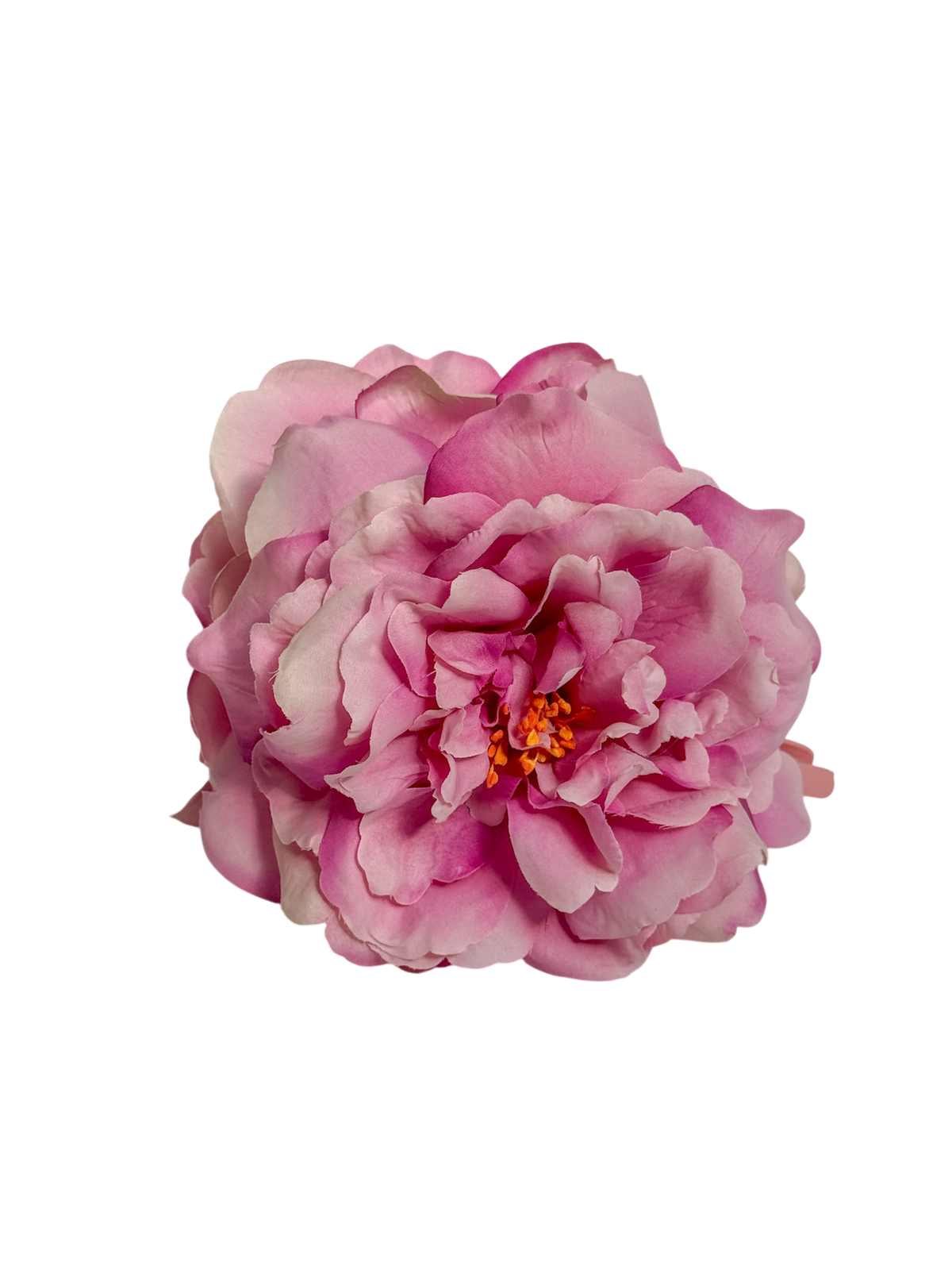 ' Pink Rose ' claw clip