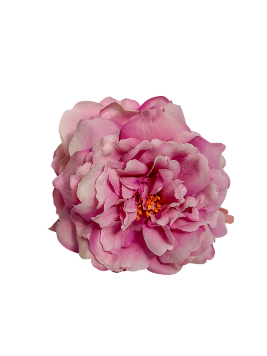 ' Pink Rose ' claw clip