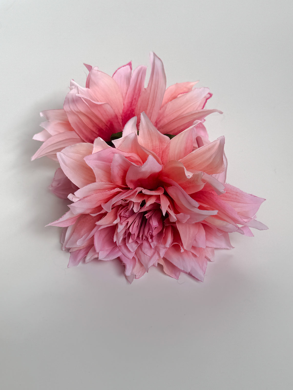 ' Baby Pink Dahlia ' claw clip