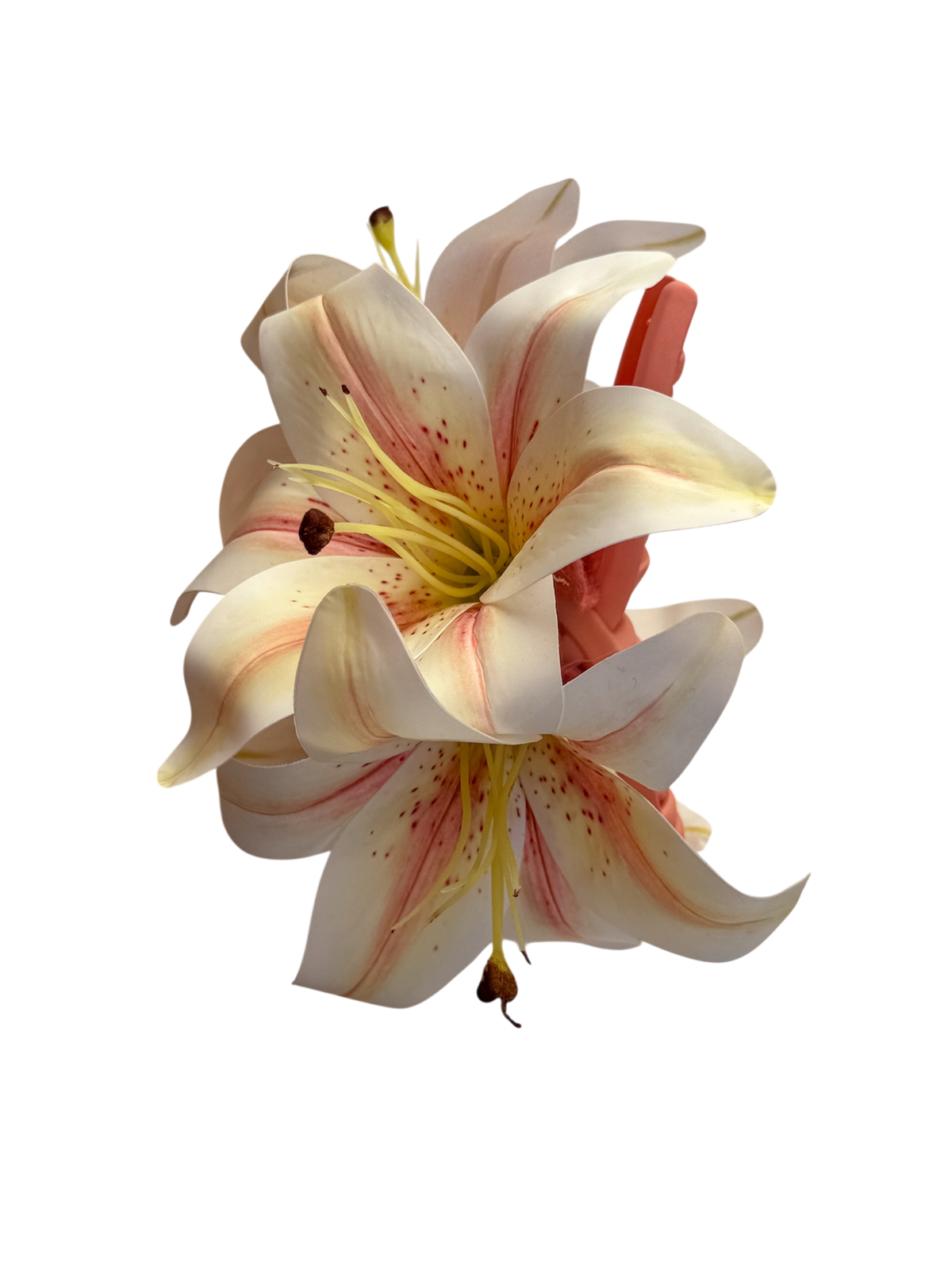 ' Madonna Lily ' claw clip