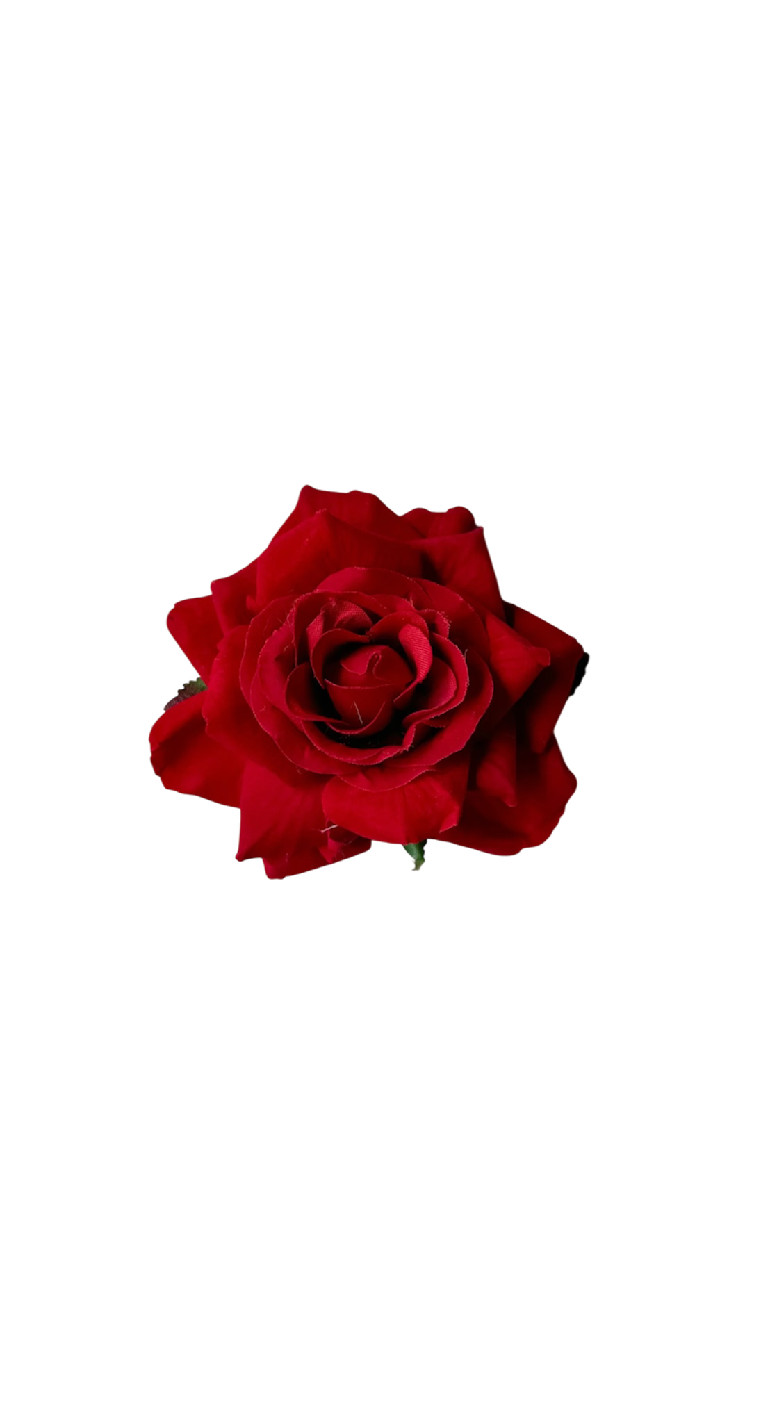 Red rose clip