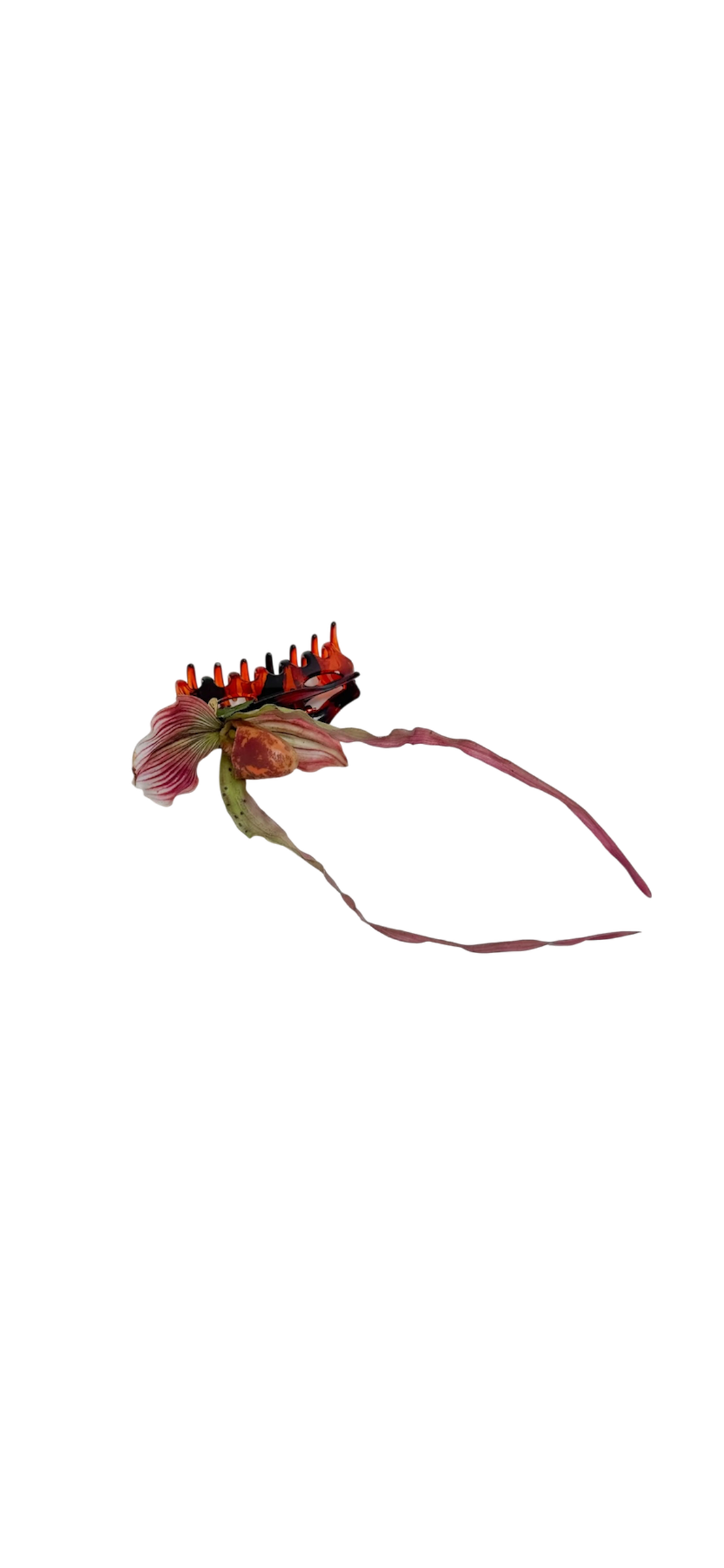 Venus slipper claw clip