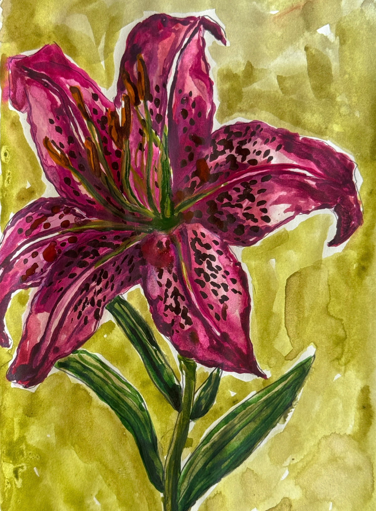 'Stargazer lily' print