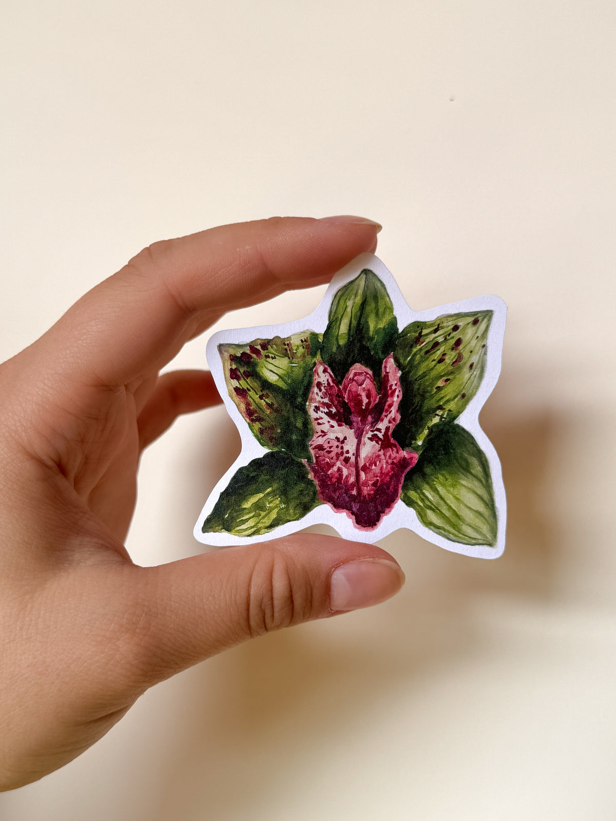Orchid sticker