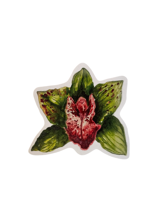Orchid sticker