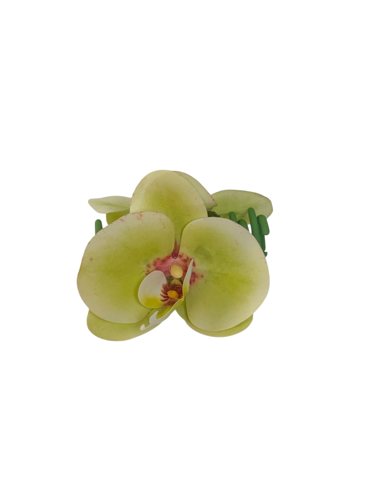 ' Matcha Phalaenopsis ' claw clip