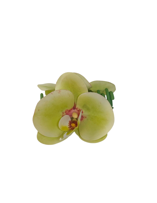 ' Matcha Phalaenopsis ' claw clip