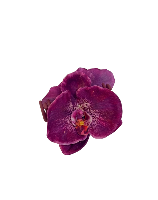 ' Purple Phalaenopsis ' claw clip