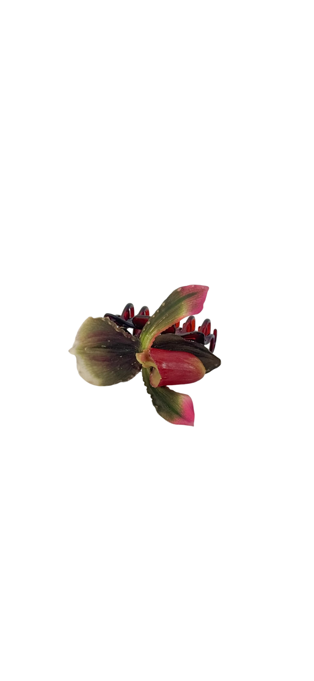 Emerald lady slipper claw clip
