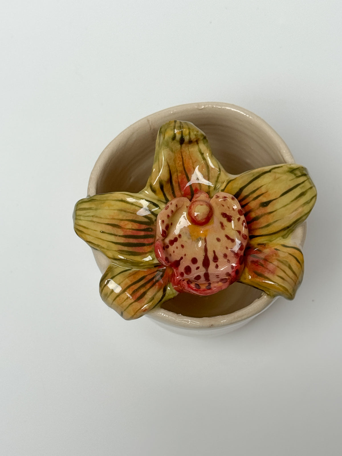 Cymbidium orchid travel mug