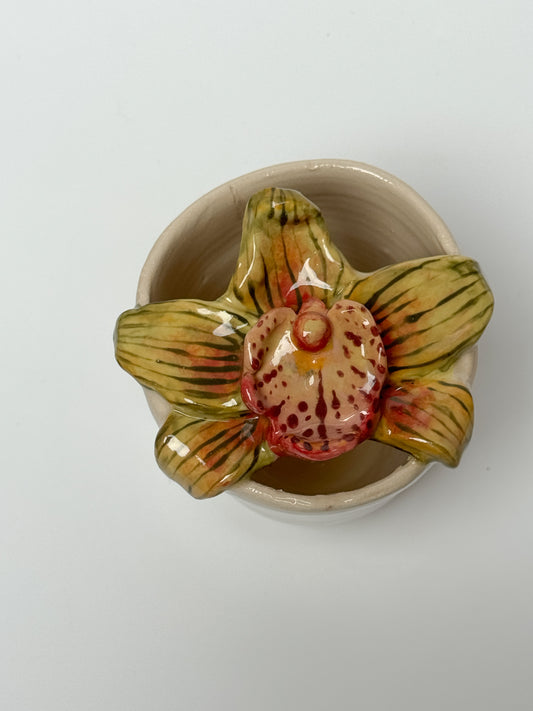 Cymbidium orchid travel mug