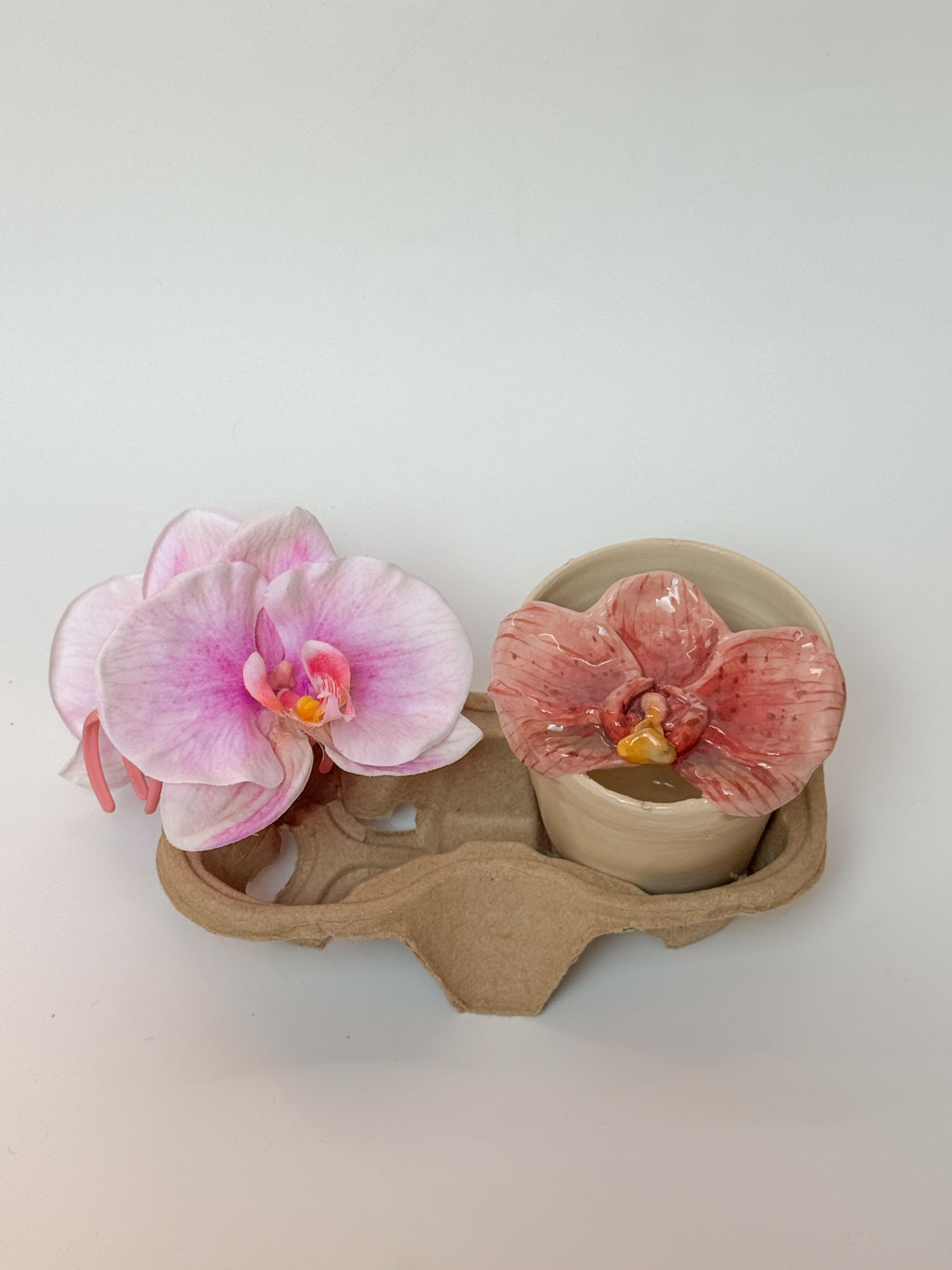 Phalaenopsis orchid travel mug