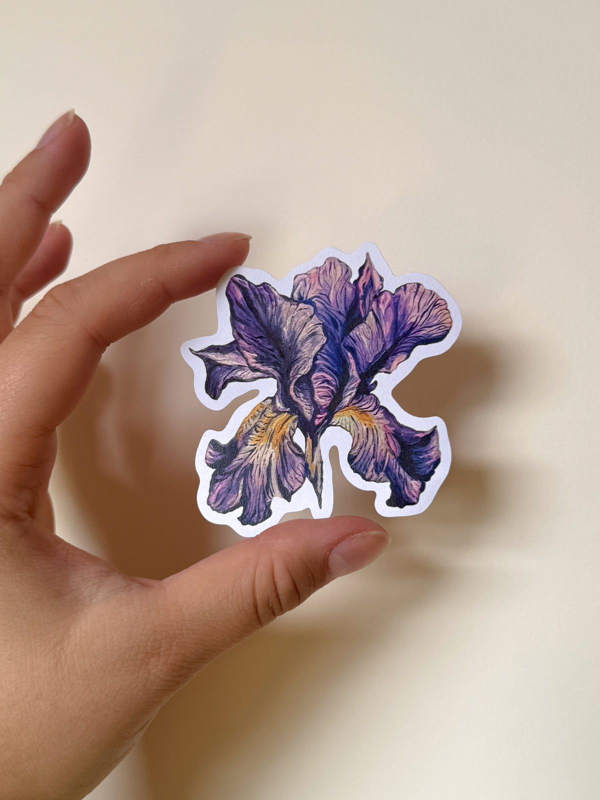 Iris sticker