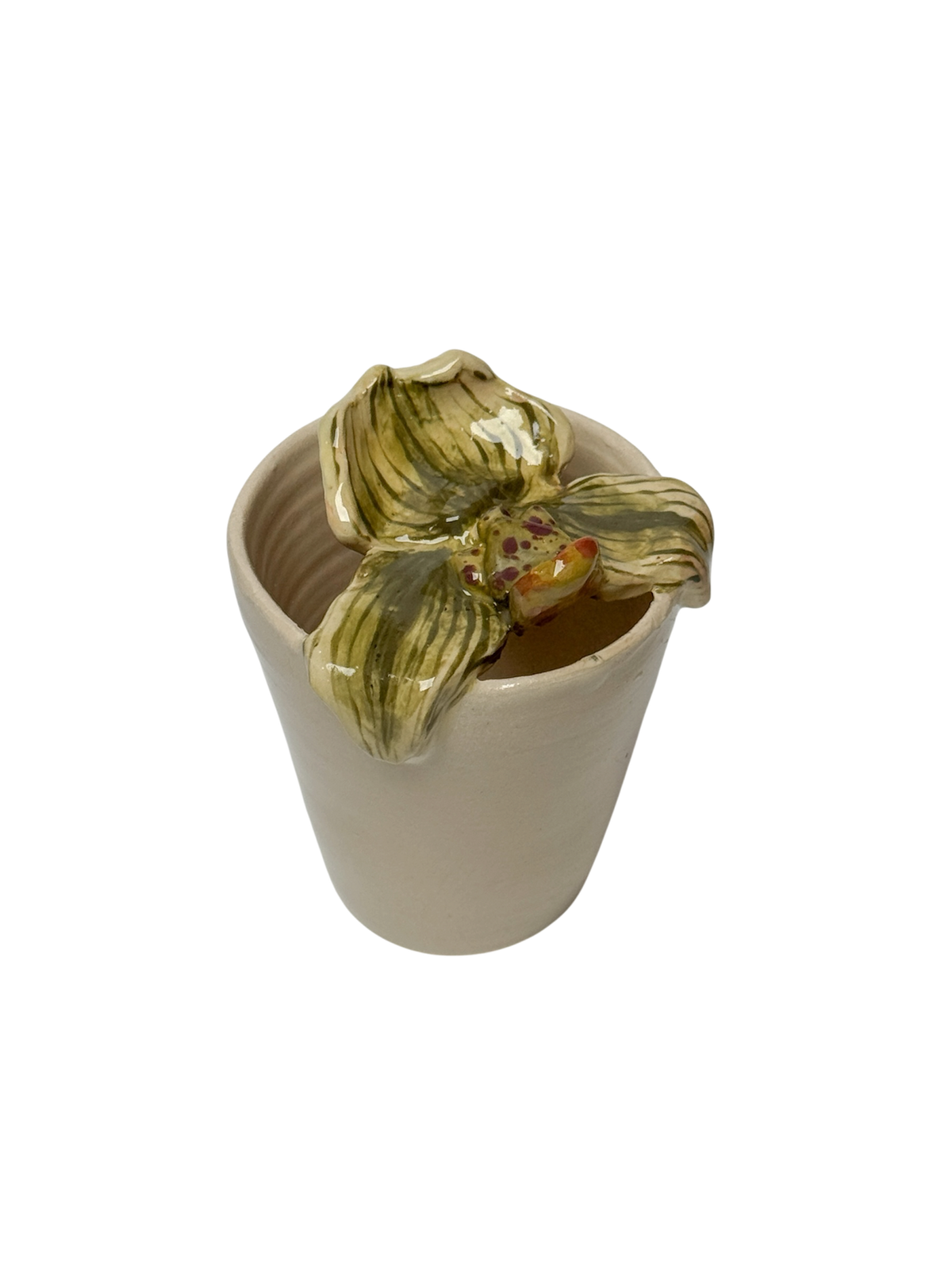 Lady slipper orchid travel mug