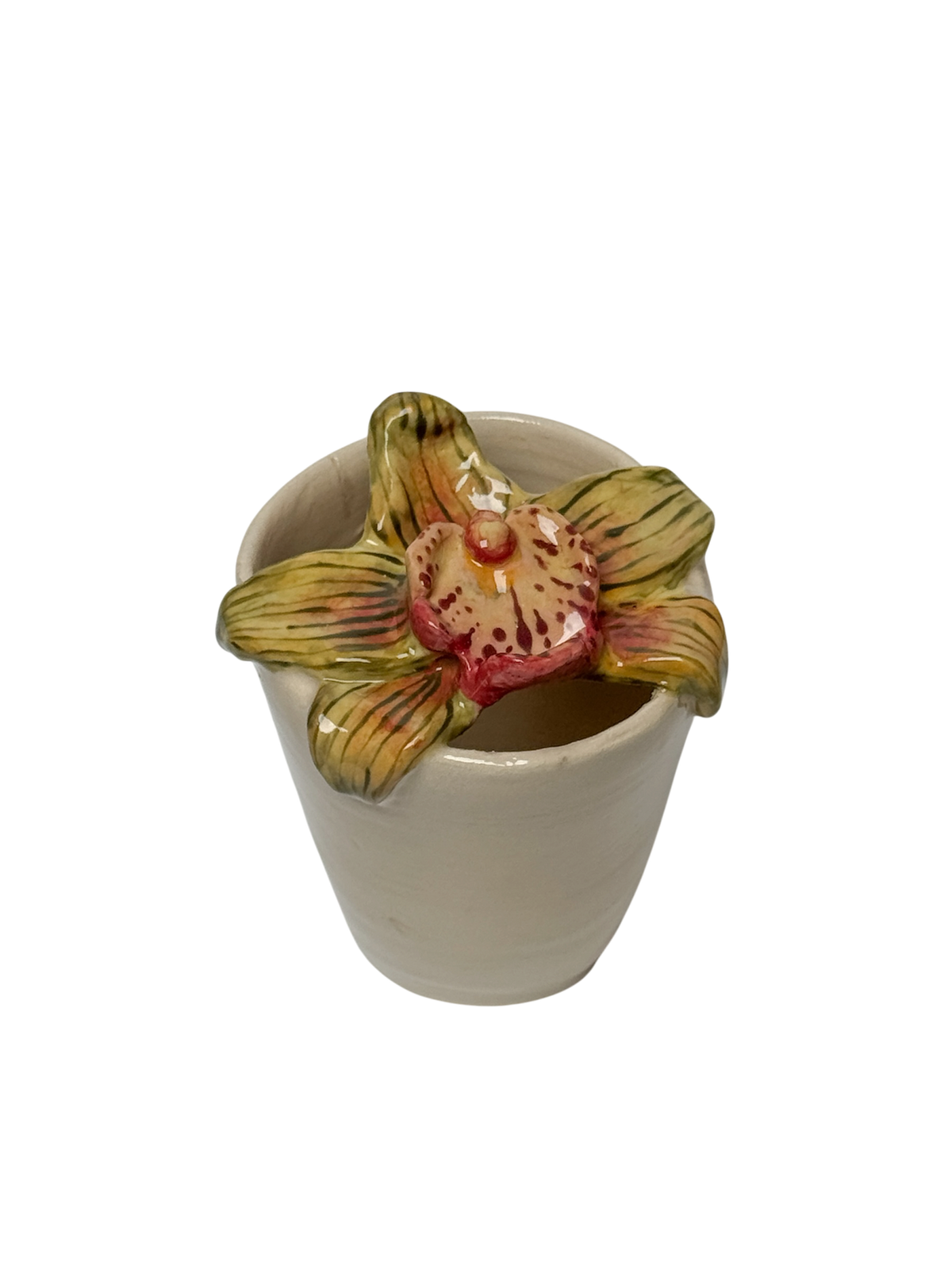 Cymbidium orchid travel mug