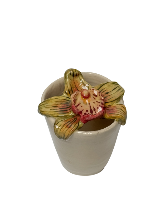 Cymbidium orchid travel mug