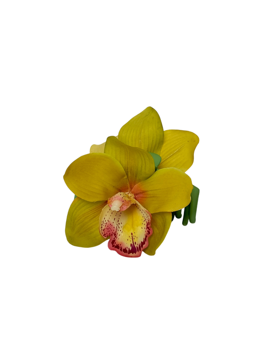 ' Chartreuse cymbidium ' claw clip