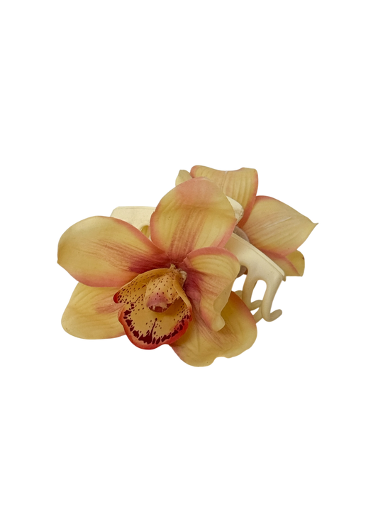 ' Lemon cymbidium ' claw clip