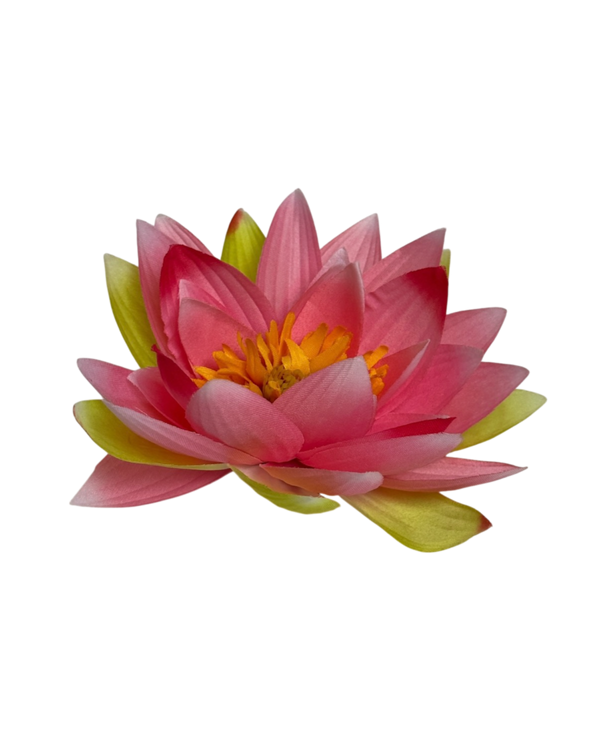 lotus clip